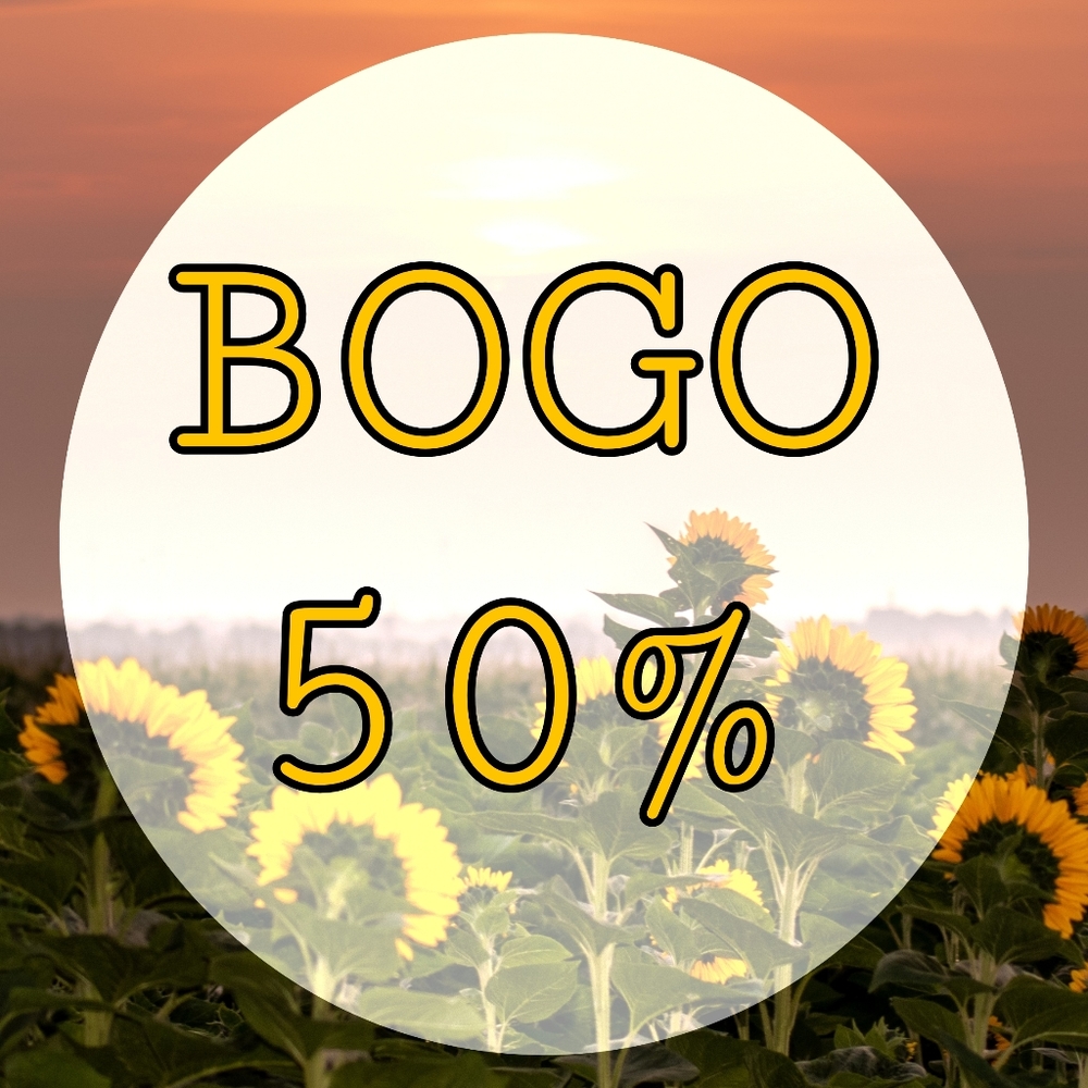 🌻 Buy One Get One 50%